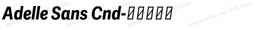 Adelle Sans Cnd字体转换